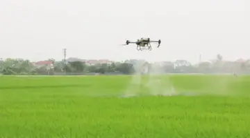 يعرض شوان كام عملية رش المبيدات باستخدام الطائرات بدون طيار.